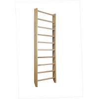 Шведська стінка для спортивних залів Сосна-220